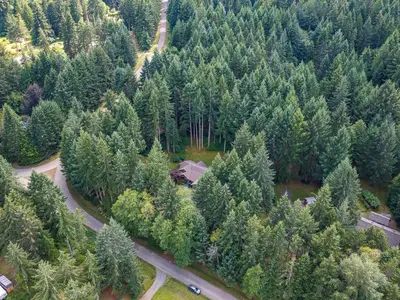 View 49