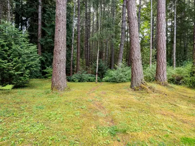 View 59
