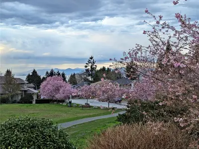 View 53