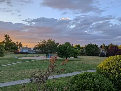 View 14
