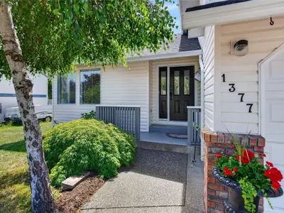 View 13