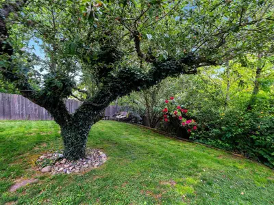 View 29