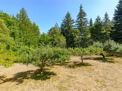View 53