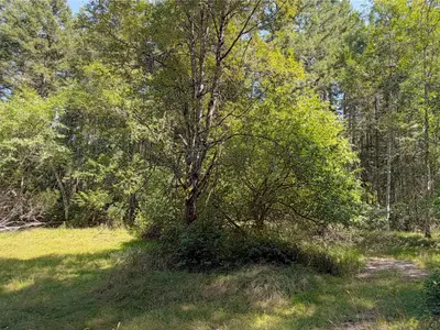 View 24