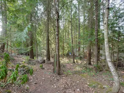 View 61