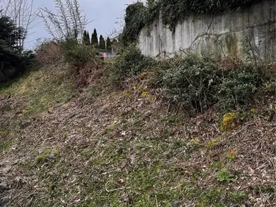 View 30