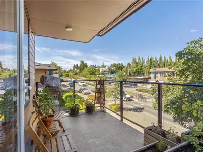 View 21