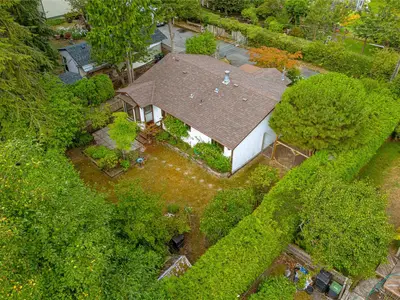View 37