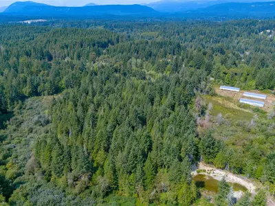 View 36