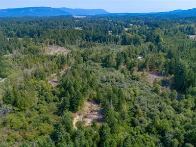 View 38