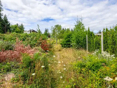View 23
