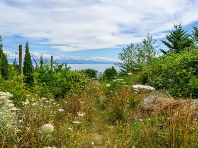View 22