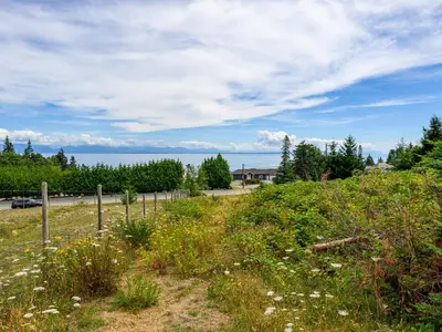 View 21
