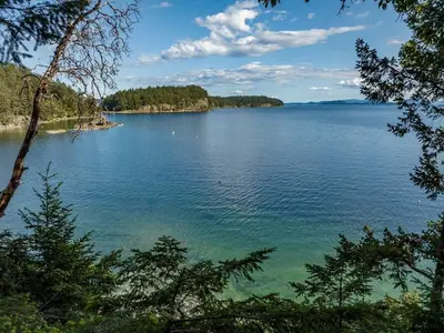 View 52