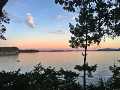 View 42