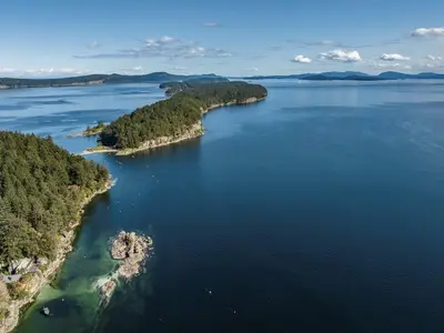 View 49