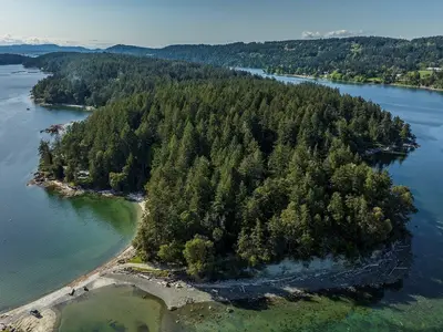 View 50