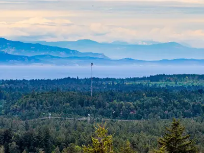View 71