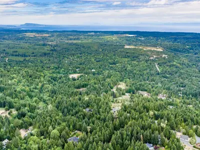 View 61