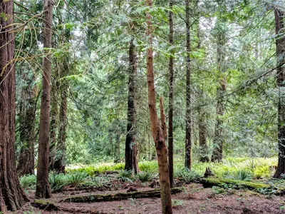 View 17