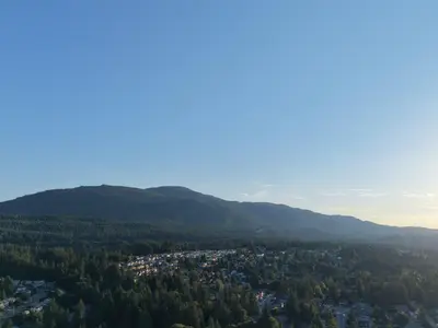 View 42