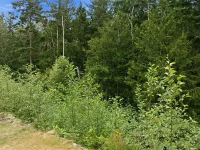 View 56