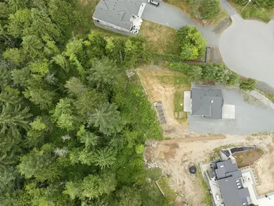 View 61