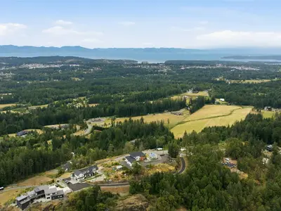 View 59