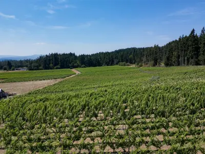 View 24