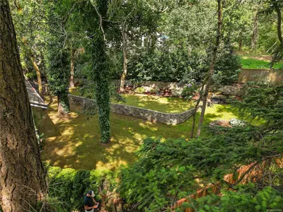 View 65