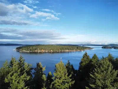 View 31