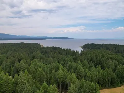 View 43