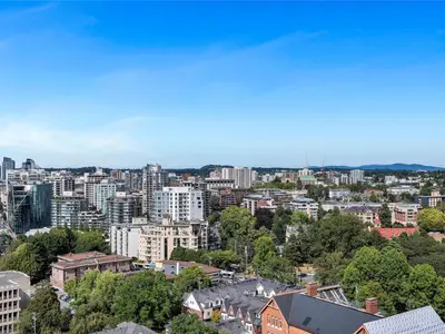 View 24
