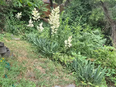 View 62