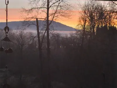 View 46