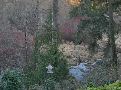 View 43