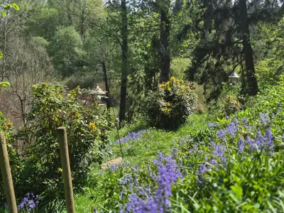 View 14