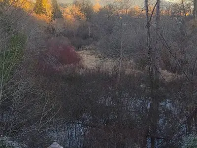 View 45