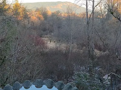 View 44