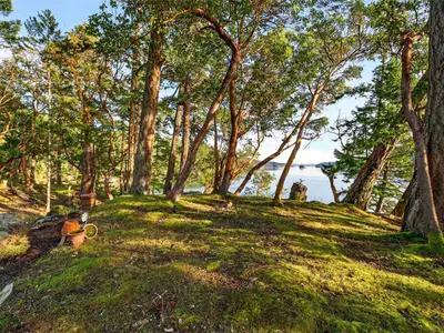 View 37