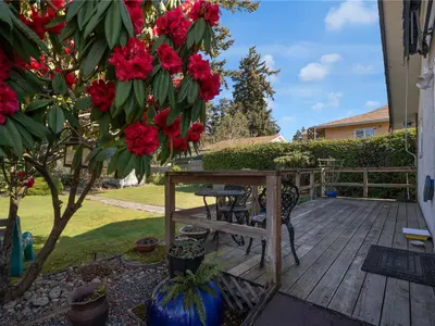 View 17