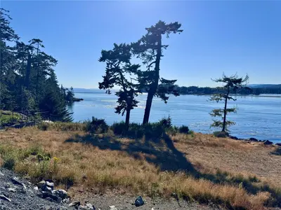 View 6