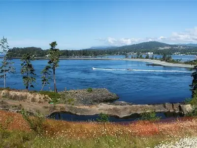 View 5