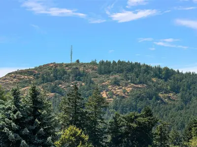 View 32