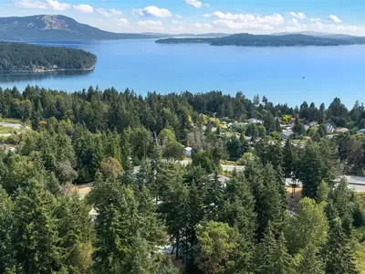 View 39
