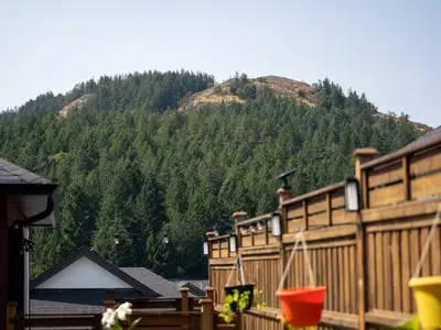View 37