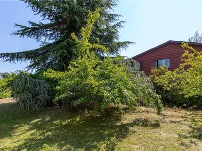 View 17