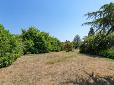 View 14