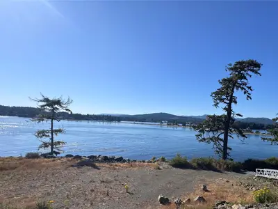 View 6