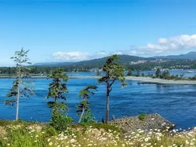 View 15